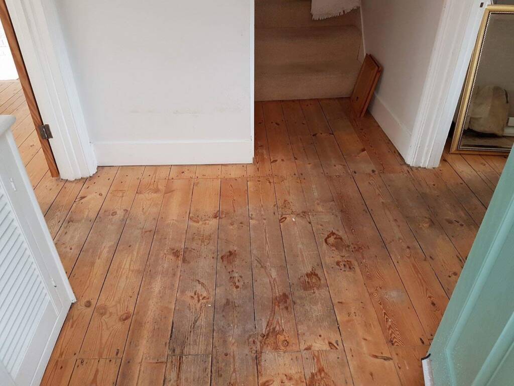 Efficient Floor Restoration in Sandwich (CT13) – Fully Insured and Dust-Free