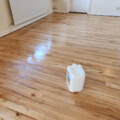 Reliable Floor Sanding in Dulwich (SE21) – Fully Insured and Dust-Free